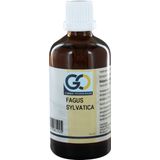 GO - Fagus Sylvatica - Voedingssupplement - Biologisch - 6 ml