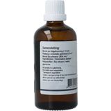 GO - Platanus Orientalis - Plantaardig Voedingssupplement - Bio - 30 ml