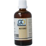 GO - Platanus Orientalis - Plantaardig Voedingssupplement - Bio - 30 ml