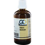 GO - Ribes Nigrum - Voedingssupplement - Biologisch - 6 ml