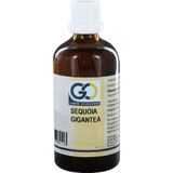 GO - Sequoia gigantea - Voedingssupplement - Biologisch - 6ml