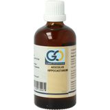 GO - Aesculus Hippocastanum - Voedingssupplement - Bio - 30 ml