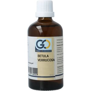 GO Betula verrucosa biologisch 100 ml