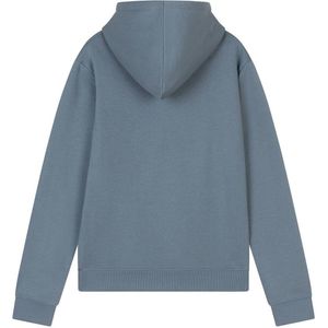 Ambique hoodie grijsblauw