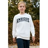 AMBIQUE - Ivan - Sweater - Ecru