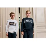 Ambique - Sweater - Marine - Ronde Hals - Lange Mouwen