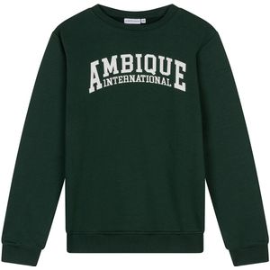 AMBIQUE - Ivan - Sweater - Racing Green