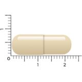 Vitakruid - Gebufferde Vitamine C - Antioxidant - Vegacapsules