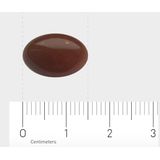 Orthica - Multi 65+ - Multivitaminen - Rood - rPET Verpakking - Grootverpakking