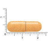 Vitakruid - B-Complex Actief Zonder B6 - Voordeelverpakking - 2 x 90 Vegacapsules