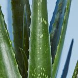 NIVEA - Sun After Sun Hydrate Spray - 200 ml - Hydraterende Kalmerende Spray