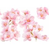 Kneipp - Bodymilk Sensitive Amandelbloesem - 3 x 200 ml - Voordeelverpakking