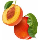 Guhl - Shampoo - Verzorging - 4x 250ML