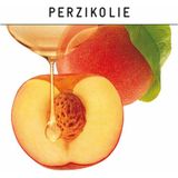 Guhl - Shampoo - Verzorging - 4x 250ML