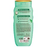 Lovea - Kokos en Groene Thee - Shampoo - 250 ml