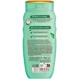 Lovea - Kokos en Groene Thee - Shampoo - 250 ml