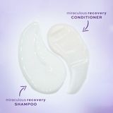 John Frieda - Frizz Ease Miraculous Recovery - Conditioner - 250 ml