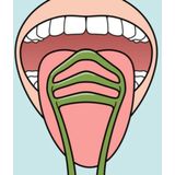 TePe - Tongreiniger - 3x - Tongschraper
