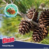 At Home - Toiletblok - Dennenboom - 12x - 3-in-1 - Tot 500 Spoelbeurten