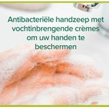 Palmolive - Hygiëne Plus Family - Handzeep - 300 ml