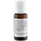 Orthica - K&D - Vitamine - 2x 10 ml