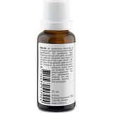 Orthica - Dino D - Vitamine D Druppels - 2x 25 ml - Anijssmaak