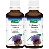 A.Vogel - Boldocynara Druppels - 50 ml - Voedingssupplement - Kruidenpreparaat