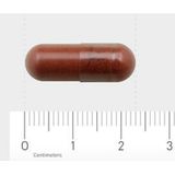 AOV 1104 - Rode Gist Rijstextract - 90 Vegacapsules