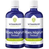 Vitakruid - Ribes Nigrum Tinctuur - 100 ml