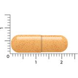 Vitakruid - Curcuma C3 - 120 Vegacapsules - Voedingssupplement met Curcuma en Zwarte Peper