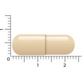Vitakruid - DIM Complex - 60 Vegacapsules - 400 mg Indole-3-Carbinol per Capsule