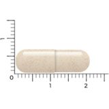 Vitakruid DPP-IV Ultimate - 180 Vegacapsules - Enzymen