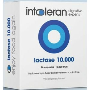 Intoleran - Lactase 10.000 - Capsules - 36 stuks - Glutenvrij - Vegan