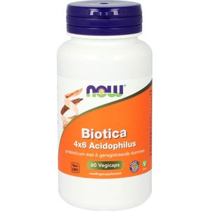 NOW - Biotica 4X6 - Probiotica - 60 Capsules - 6 Verschillende Stammen