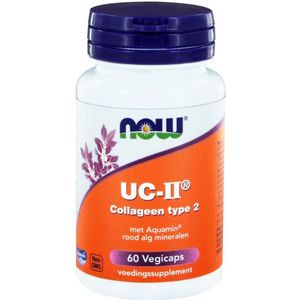 NOW - Ucii Collageen Type 2 - Voedingssupplement - 60 Capsules