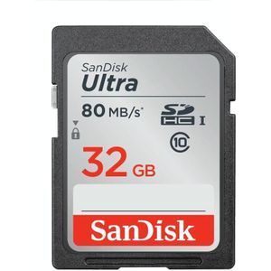 SanDisk Video Camera High Speed Geheugenkaart SD-kaart  kleur: zilveren kaart  capaciteit: 32GB