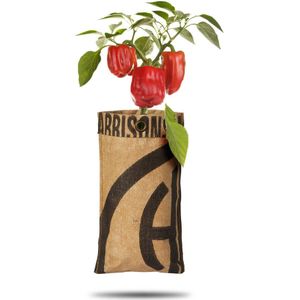 Baza Hangtuin Bio Paprika