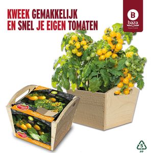 Tomato Box kweekset Tumbling Tom Yellow gemaakt van FSC hout/ duurzaam/ cadeau / cadeau idee