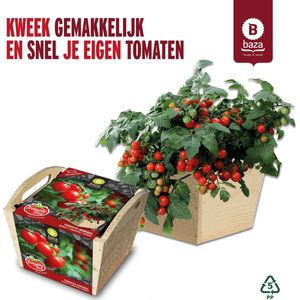 Tomato Box Kweekset Tomaten Minibel gemaakt van FSC hout/ duurzaam/ cadeau / cadeau idee