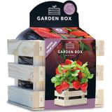 Baza Gardenbox Set Aardbeien 1 set