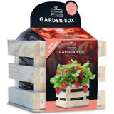 Baza Gardenbox Set Aardbeien 1 set