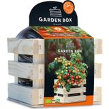 Baza Gardenbox Set Tomaten 1 set