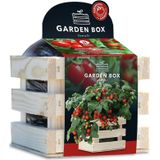 Baza Gardenbox Set Tomaten 1 set