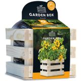 Baza Gardenbox Set Tomaten 1 set