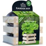 Baza Garden Box Bio Basilicum