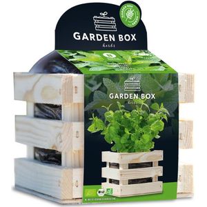 Baza Garden Box Bio Munt
