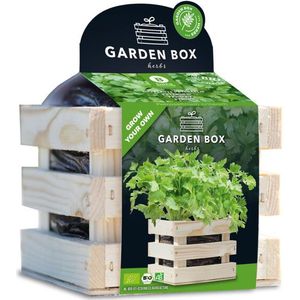 Baza Garden Box Bio Peterselie