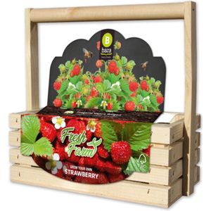 Baza Fresh Farm Bosaardbei Rood - Moederdag cadeau