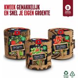 Baza Keukentuintjes Set Groenten 1 set