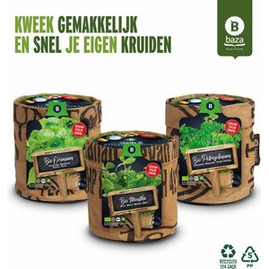 Baza Keukentuintjes Set Kruiden 1 set